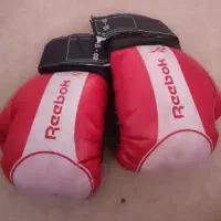 دو عدد دستکش بوکس بزرگانه و بچه گانه