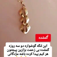 لنگه گوشواره گم شده