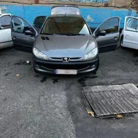 206 sd