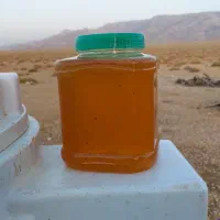 عسل تغذیه