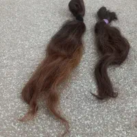 مو کوتاه شده رنگ داره