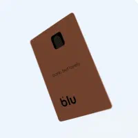 کسب در آمد از طریق بلوبانک