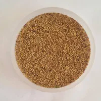 ریز ماش ساری گوز