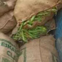 باقالی لنگه ای کاشان درجه یک