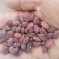 لوبیا قرمز|خوردنی و آشامیدنی|باغ بهادران, |دیوار