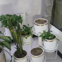 گل و گلدان سرامیکی به همراه استند