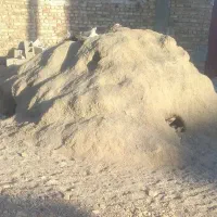 کارگرساده کنتراتی حمل مصالح ازپله ماسه گچ هستم