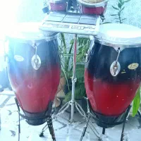 تومبا و پلکاش|درام و پرکاشن|بم, |دیوار