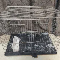 قفس پرنده