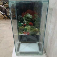 اکواریوم|ماهی|تربت‌حیدریه, قائم|دیوار