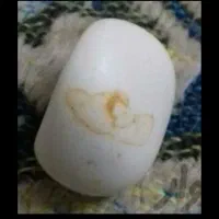 الماس آسیاب|جواهرات|رباط‌کریم, رباط‌کریم|دیوار