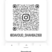 نیروی کار خانم‌