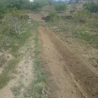 اجرای ابیاری قطره ای ساخت استخرساختمانآلاچیق باغ|خدمات باغبانی و درختکاری|ساوه, |دیوار