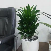 فروش خانه ویلایی مخابرات (آزادگان)
