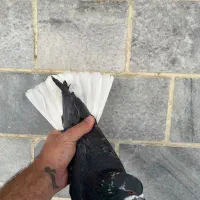 کبوتر هما|پرنده|اندیشه, اندیشه فاز ۲|دیوار