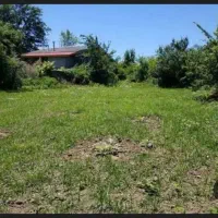 یاحسین-شهید