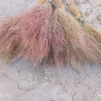 جارو|لوازم نظافت|مرند, |دیوار