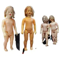 پالاز موکت|موکت|بندر کنگان, |دیوار