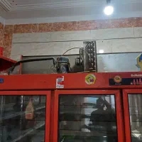 یخچال مغازه