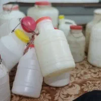 دبه سالم|ظروف نگهدارنده، پلاستیکی، یک‌بارمصرف|سبزوار, زینبیه|دیوار