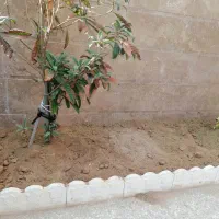 کودحیوانی گوسفندی گاوی خاک باغچه باغ ارسال بانیسان|خدمات باغبانی و درختکاری|شیراز, شهرک امیر کبیر|دیوار