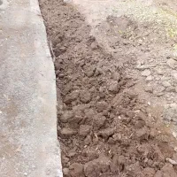 باغبان|خدمات باغبانی و درختکاری|تبریز, |دیوار