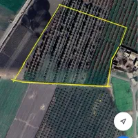 زمین کشاورزی