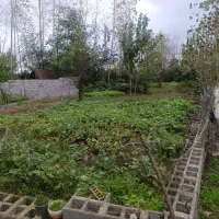 300متر زمین مسکونی با پروانه ساخت زیر قیمت منطقه