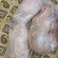 فروش غاز و اردک و جوجه کشته