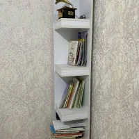 قفسه کتاب
