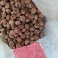 گردو نهال|خوردنی و آشامیدنی|جوانرود, |دیوار