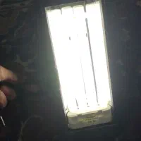 نور فلورسنت کامپکت ادیسه|ماهی|شیراز, انجیر|دیوار