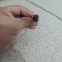 انگشتر و چاقو|جواهرات|سنندج, |دیوار