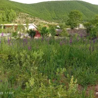 فروش ویلا فلت منطقه کوهستانی زانوس