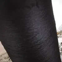 نخ مشکی|لوازم خیاطی و بافتنی|تهران, کوثر|دیوار