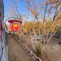 باغ ویلا استخردار در زردنجان|اجارهٔ کوتاهمدت ویلا و باغ|اصفهان, سرشبادران|دیوار