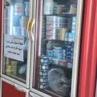 یخچال ویترینی ایستاده|فروشگاه و مغازه|اهواز, کیانشهر|دیوار