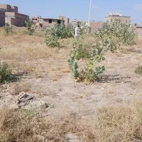 ایرانشهر-خیابان-زیبا-شهر-سبحان-19پلاک-سه