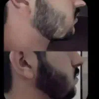 رویشی بدون کاشت