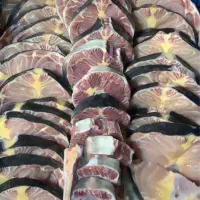 سرمایه گذار در زمینه تولید و پخش مواد پروتئینی|خدمات مالی، حسابداری، بیمه|رشت, کوی غلام نیا|دیوار