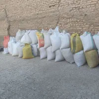 پسته‌پوک|خوردنی و آشامیدنی|شاهین‌شهر, عطار|دیوار