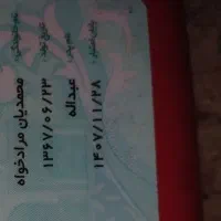 مدارک گمشده داخل کیف کارت قرمز