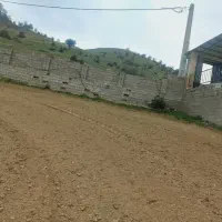 فروش زمین|فروش زمین و ملک کلنگی|پل سفید, |دیوار