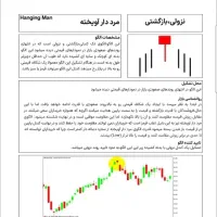 ترید رو اصولی یاد بگیرید