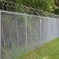 انواع مش فلزی پرسی رابیتس مفتول آرماتوربندی فنس|عمده‌فروشی|شیراز, شهرک صنعتی شیراز|دیوار