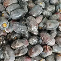 نیروی خرما جمع کن