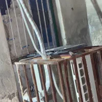 اسپیلت جنرال مکس