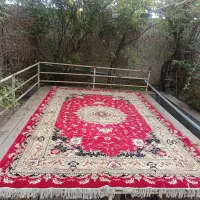 فرش|فرش|نیر (اردبیل), |دیوار