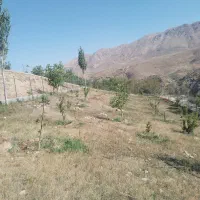 باغ|فروش دفتر صنعتی، کشاورزی، تجاری|ارجمند, |دیوار