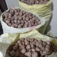 گردو محلی اورگانیک|خوردنی و آشامیدنی|کرج, حصارک بالا|دیوار